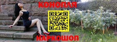 прущие крисы Владимир