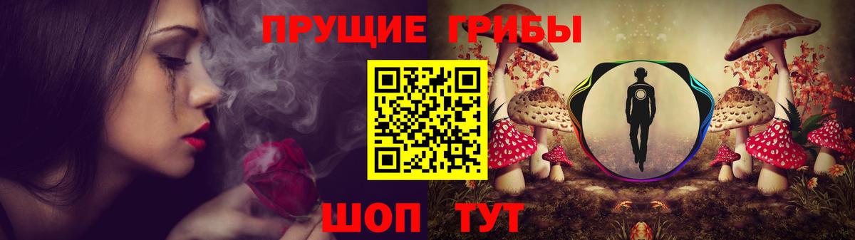 Галлюциногенные грибы ЛСД Вологда