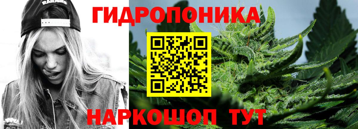 Бошки марихуана THC 21%  Марихуана индика  Вологда  Бошки марихуана ГИДРОПОН  Вход с VPN  Конопля Bruce Banner 